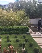 九游体育-关于清晨国王杯传出新动向，里昂完成体检，管理层表态：质疑声仍在，医务组通报恢复的信息